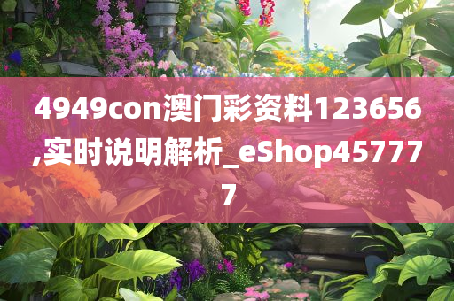 2046年新奥正版资料免费大全，知识共享的未来展望2025年正版资料免费大全视频