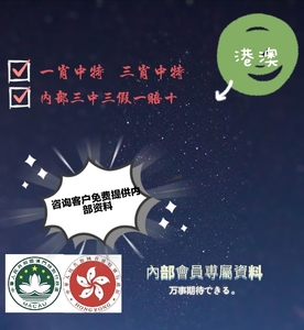澳门2019精准一肖资料，揭秘背后的真相与警示澳门2022精准一肖一码资料自带安全系统