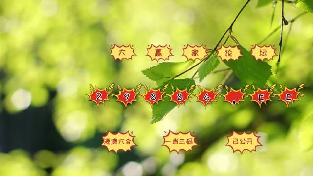 澳门49图库免费资料下载，谨慎与风险并存的边缘探索澳门49图库资料下载2022第187期