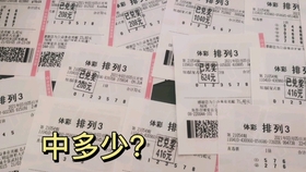 2046澳门天天开好彩大全，揭秘香港彩票市场的独特魅力与策略指南2025新澳门天天精准免费大全