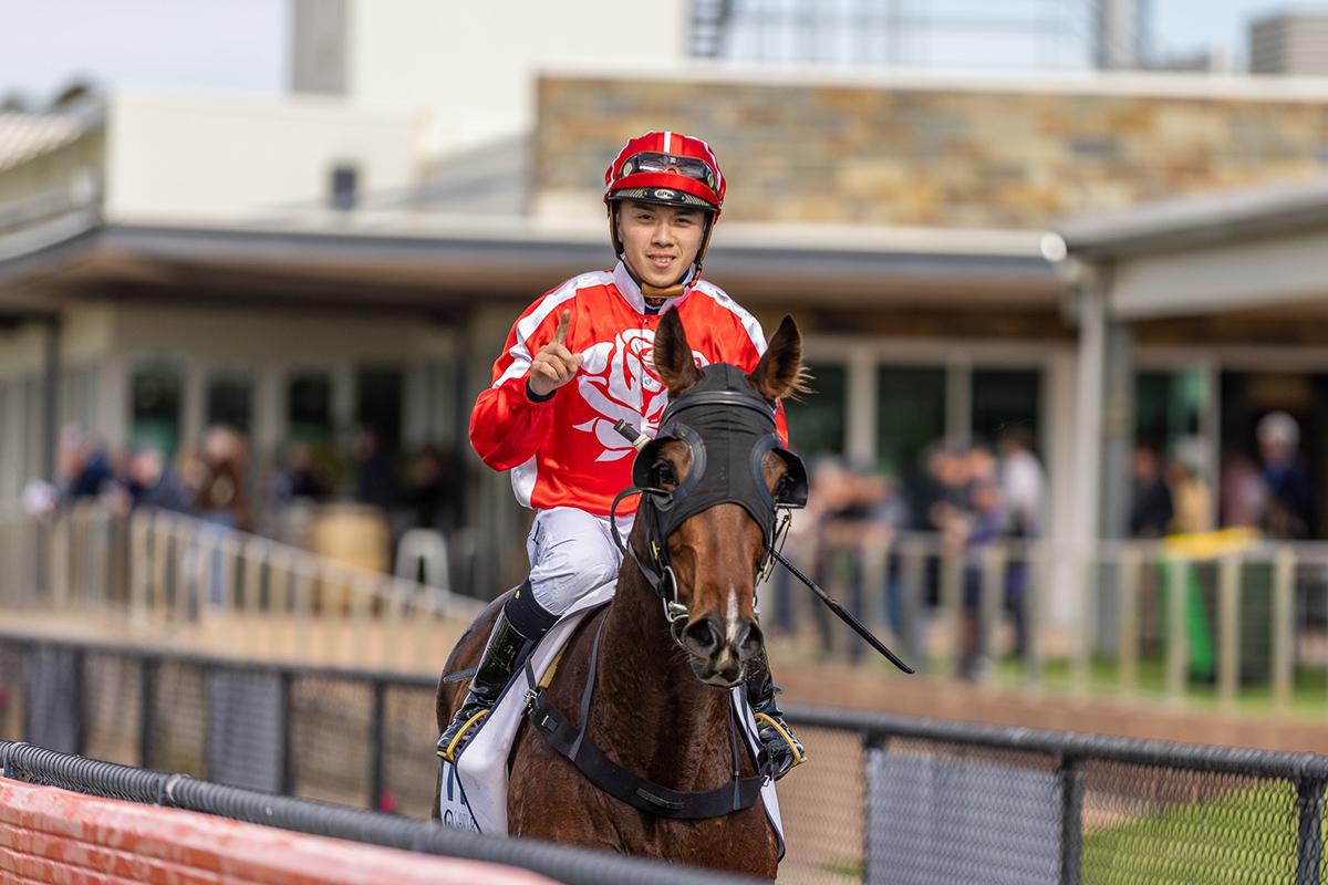 2019年香港马会内部免费资料，揭秘赛前策略与选码技巧香港马资料大全2019