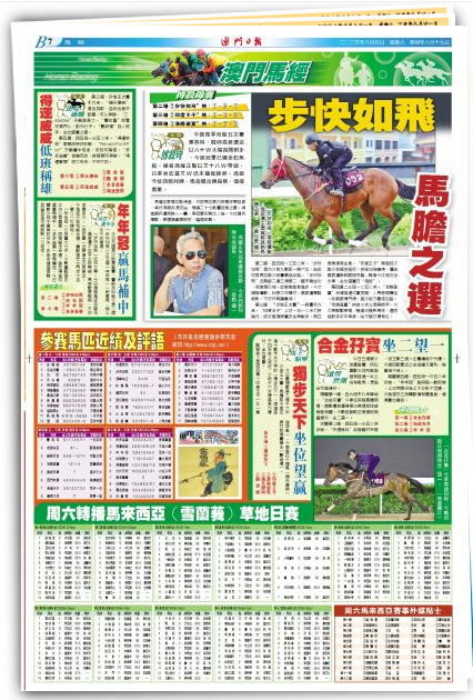 2048年新澳门王中王的传奇与未来2024年新澳门王中王资料第152期