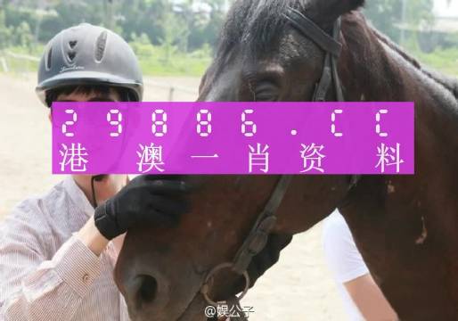 澳门一肖预测，今晚的神秘揭晓今晚澳门一肖一码必中一肖网易