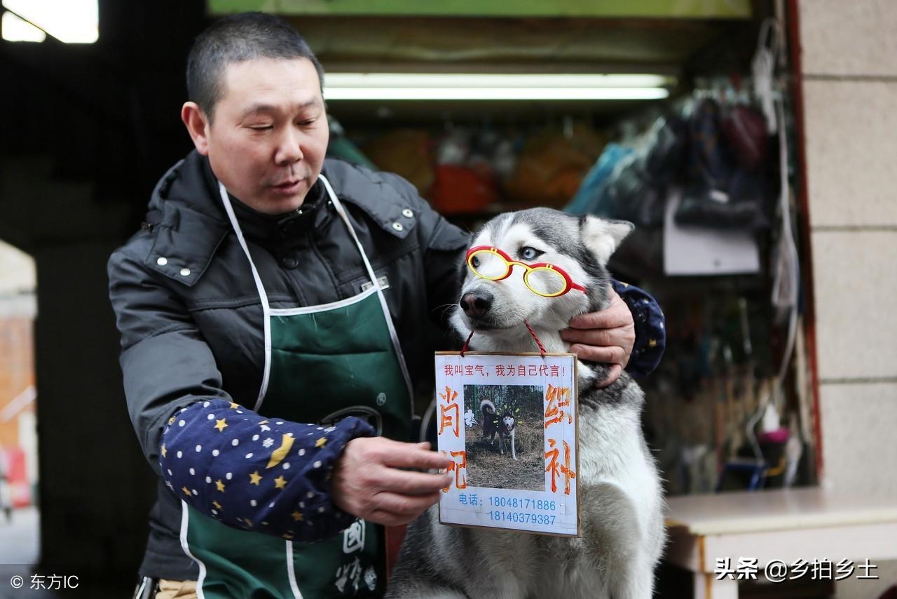 揭秘四肖选一，精准预测中特特的奥秘四肖选一肖一特