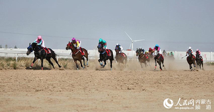 2019年香港马会内部免费资料，揭秘赛马的智慧与策略香港马资料大全2019