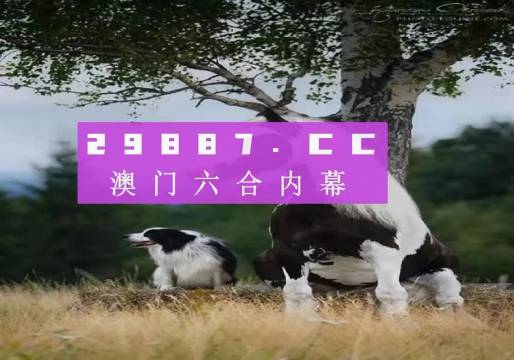 揭秘WW7689，香港开奖结果背后的真相与警示—理性看待彩票，拒绝赌博陷阱！777766香港开奖结果 777