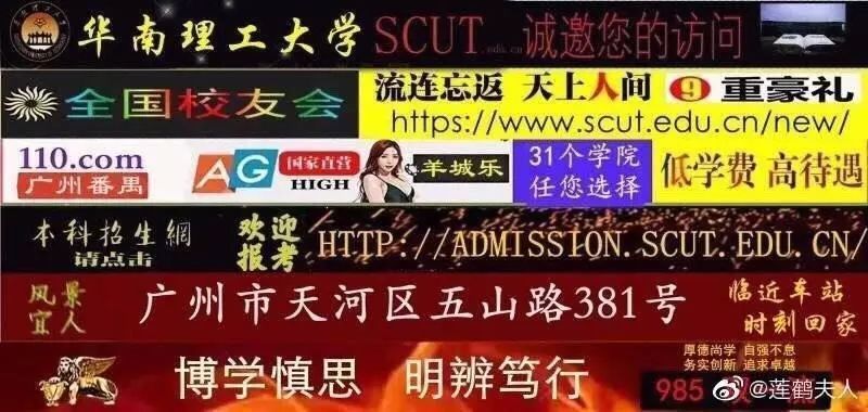 2046新澳门天天开好彩大全正版，揭秘幸运的奥秘与智慧选择2024新澳门天天开好彩大全正版网上