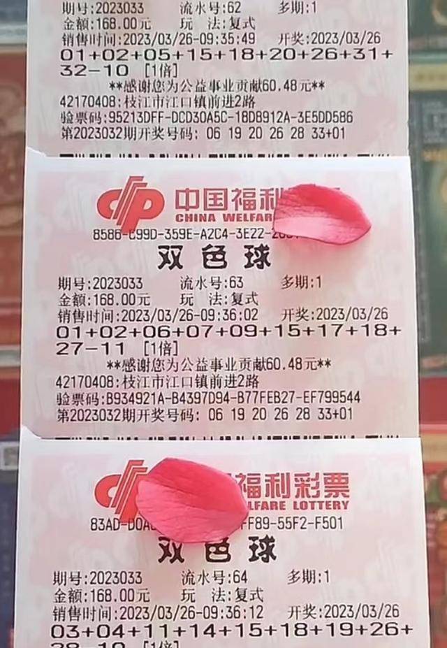 揭秘新澳204今晚开奖结果，理性看待彩票，享受生活乐趣新澳2024今晚开奖结果查询
