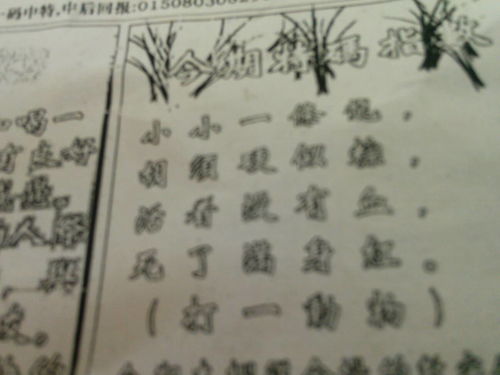 揭秘刘伯温精选期与生肖预测，理性分析下的数字游戏刘伯温精选期期一肖中时