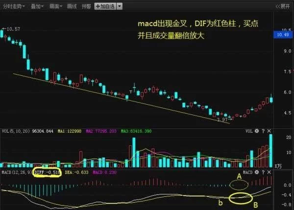 奶奶专栏 第53页