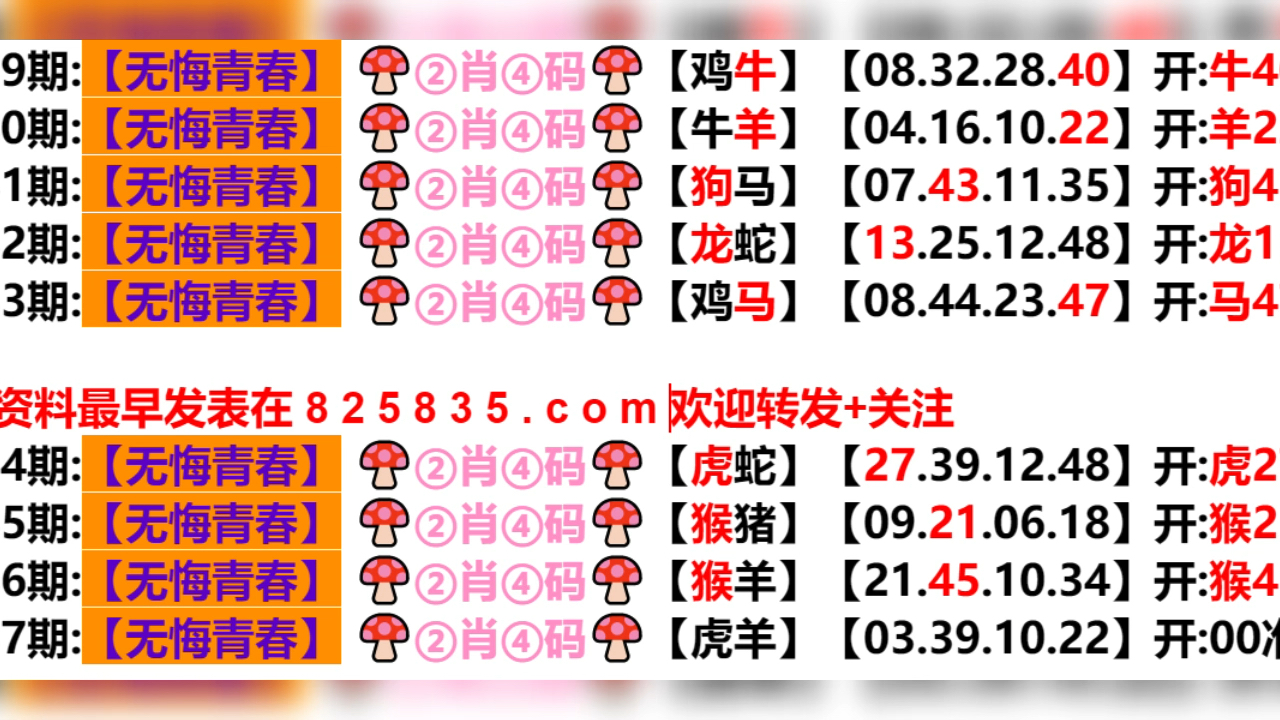 2024年新奥门王中王资料202449