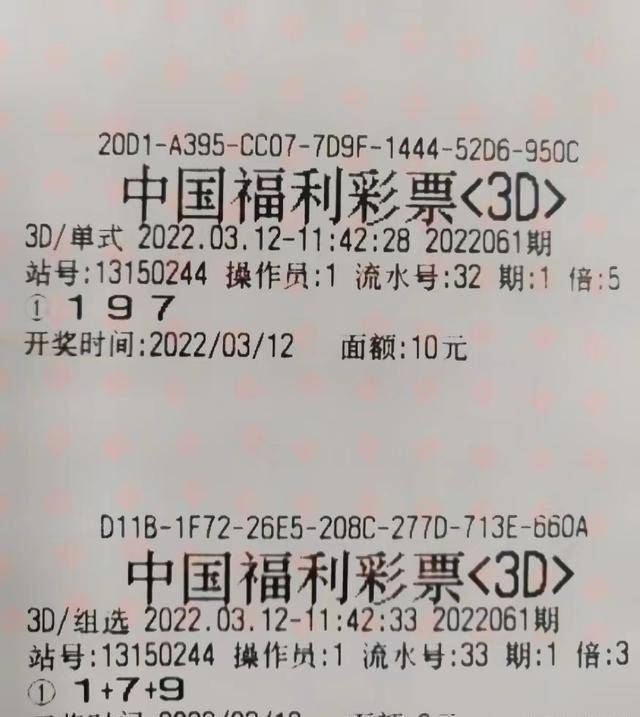 揭秘白小姐三码的真相，理性看待彩票与概率白小姐三码选一肖