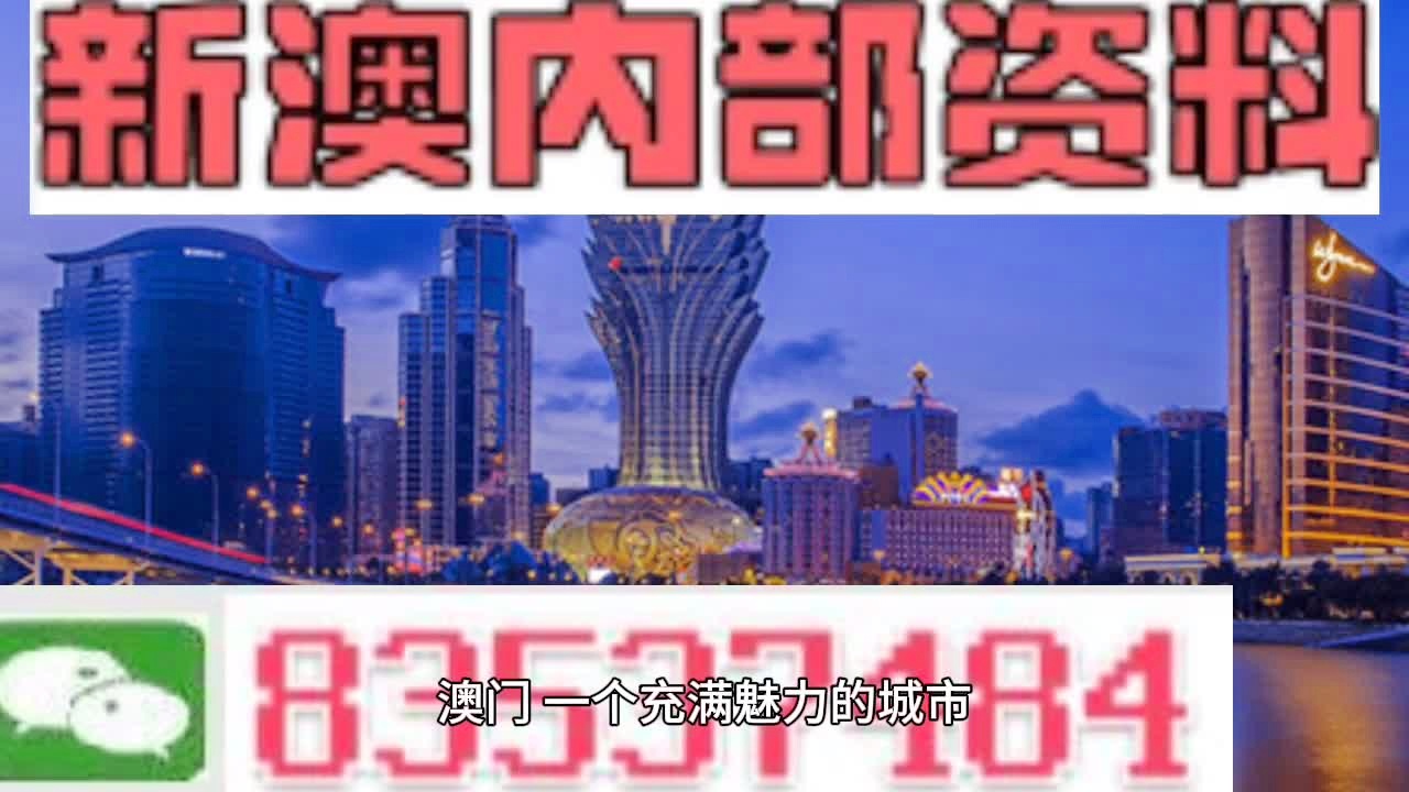 204澳门正版精准资料，揭秘背后的真相与风险警示2025年正版资料免费大全