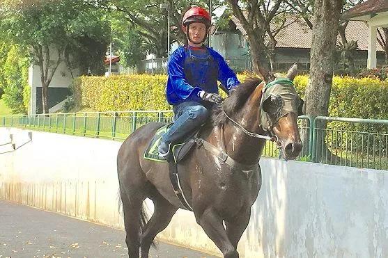 探索香港马会全年资料大全，历史、成就与未来展望香港2021年马会资料大全