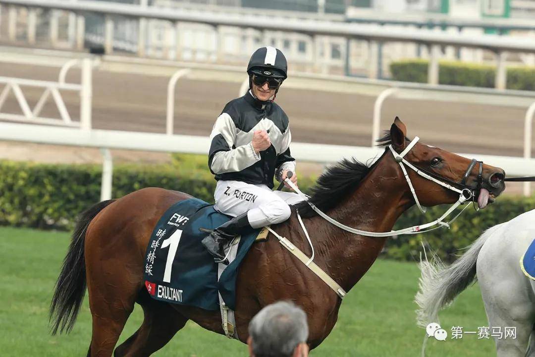 探索香港马会，全年资料大全的深度剖析香港2021年马会资料大全