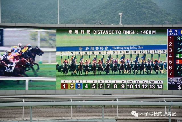 探索香港全年资料马会大全，赛马的激情与文化的交融香港2021年马会资料大全