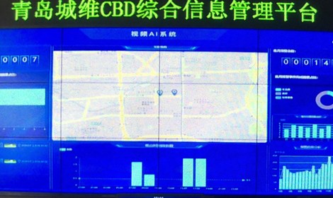 探索二肖3码的奥秘，数字背后的趣味与智慧1肖十2码