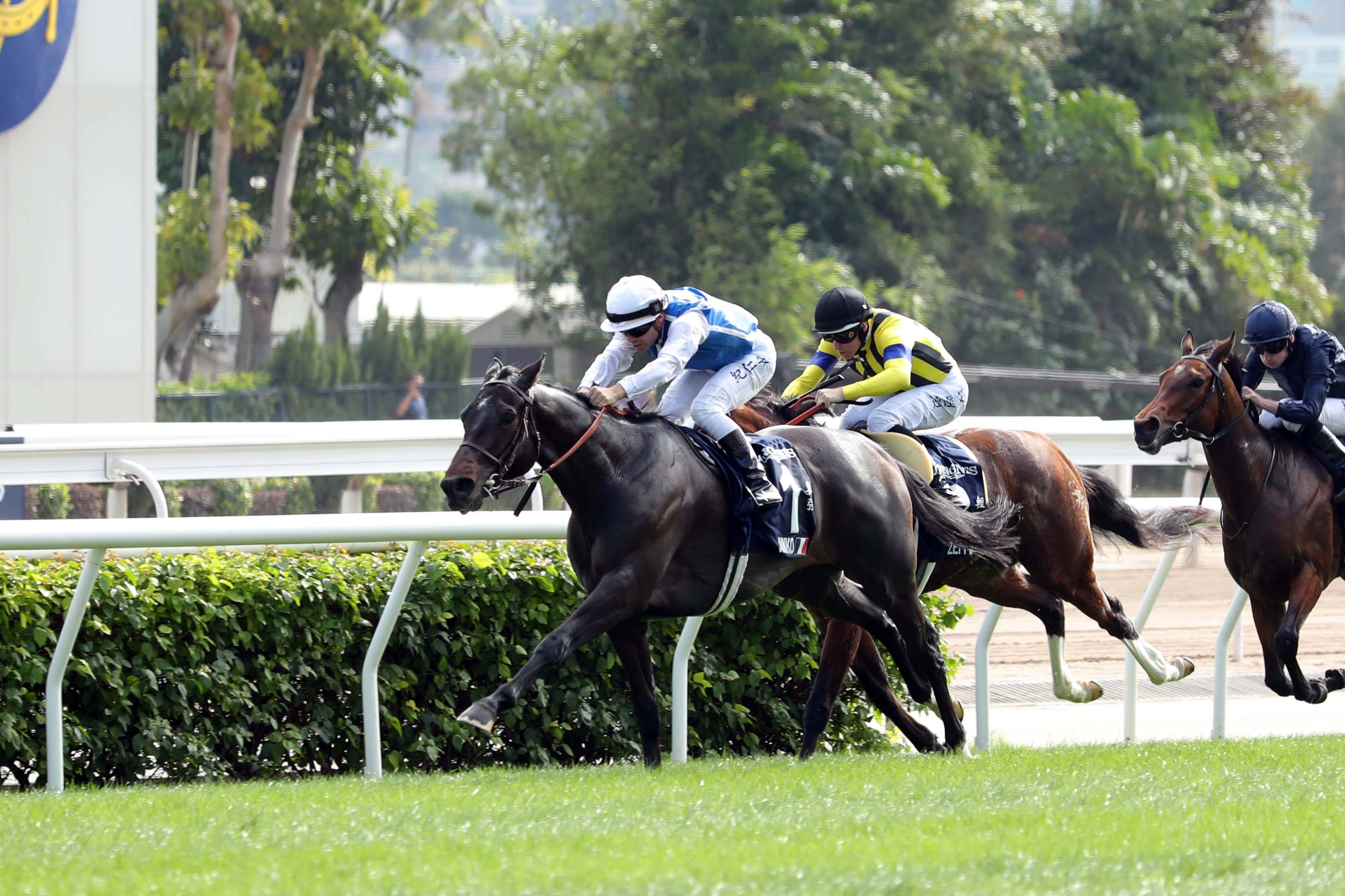 探索香港全年资料马会大全，赛马的激情与文化香港2021年马会资料大全