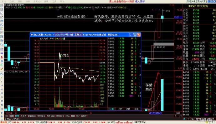 精准预测，四肖期中准的奥秘与策略4肖期期中精准4肖精确资料