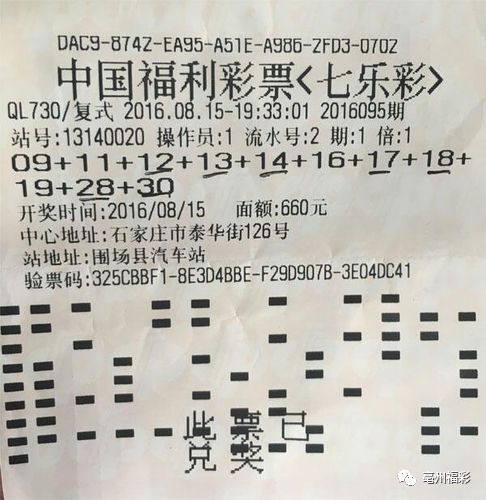 2043澳门天天开好彩大全，揭秘彩票背后的数字游戏与智慧2024澳门天天开好彩大全开奖结果
