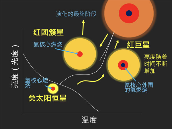 今晚一肖中特，揭秘数字时代的幸运密码一肖中特期期准精选资料