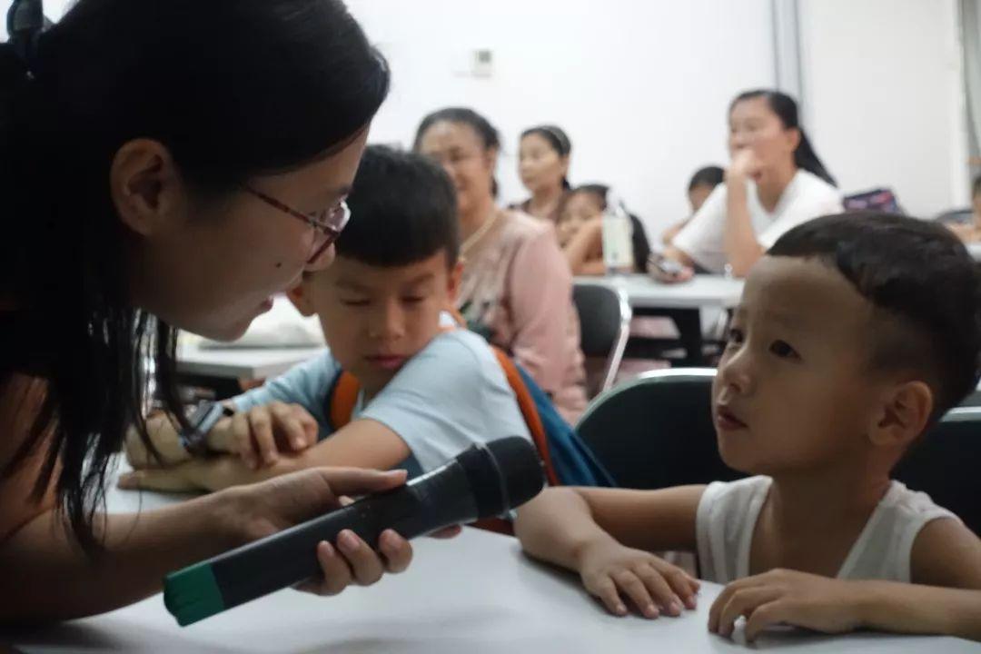 探索二肖3码的奥秘，数字背后的智慧与乐趣1肖十2码