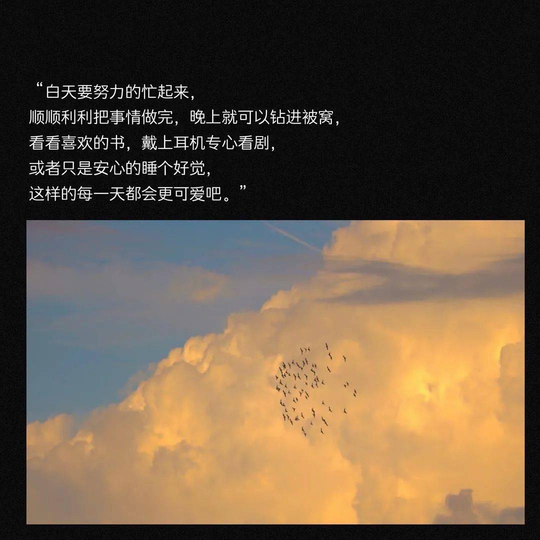 47,098万人的共同期待，揭秘现场直播开奖记录的背后4777777现场直播开奖记录金牛版
