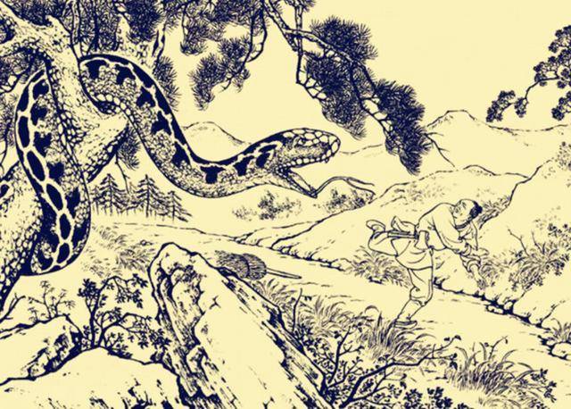 管家婆一码不肖，白蛇图坛的神秘传说