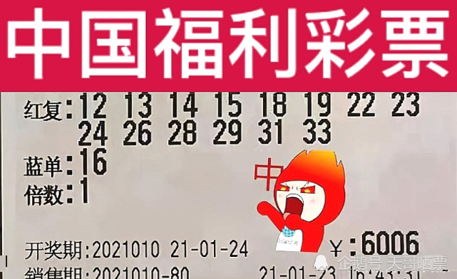 管家婆正版今晚开奖结果揭晓