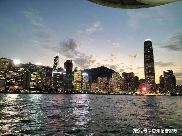 探索小狼狗高手论坛，网络社区的独特魅力与文化小狼狗高手论坛下载
