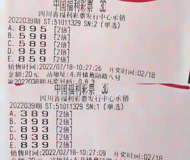今期新澳门开奖结果记录，透视彩票背后的社会现象与心理分析今期新澳门开奖结果记录新澳2024