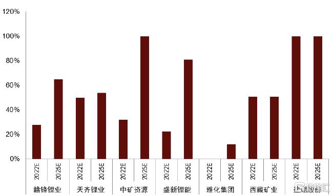 2046年新奥门管家婆资料，未来博彩业的新篇章
