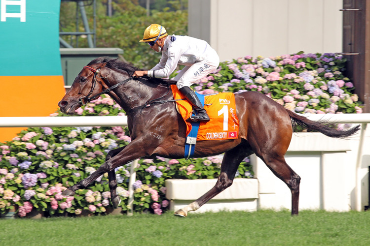 2018香港马会资料大全，赛驹、赛事与投注指南香港2021年马会资料大全