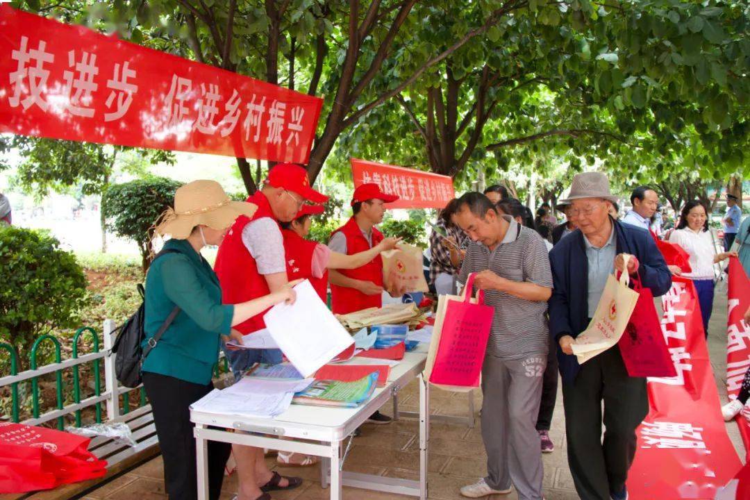 探索香港最快开奖结果，揭秘彩票文化与科技融合的奥秘香港最快开奖结果十开奖记录