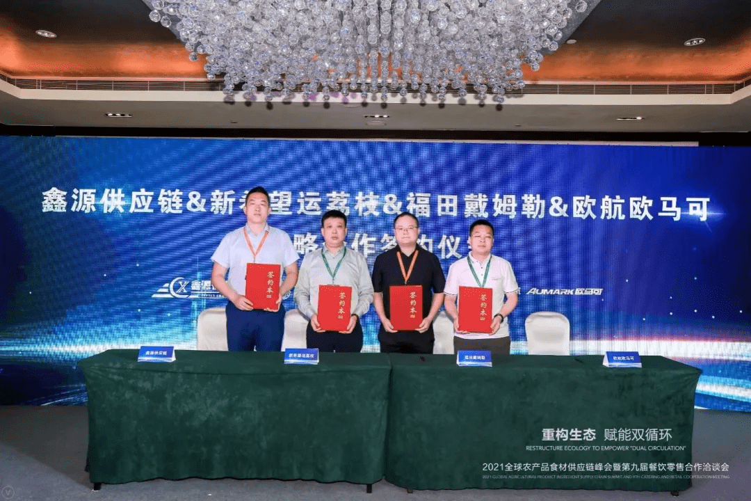 2046年，探索正版管家婆最新版本的未来科技与用户体验革新2024年正版管家婆最新版本325期
