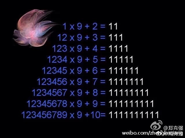 管家婆一码与白蛇图坛，神秘而迷人的数字世界