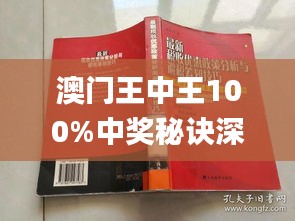 澳门王中王的魅力与免费观看的争议全四年老玩家心得澳门王中王