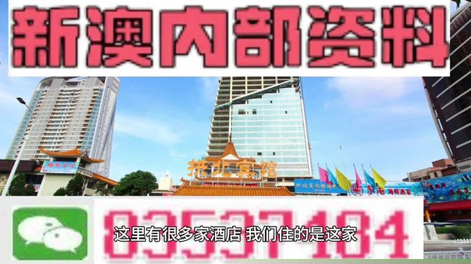免费共享，新澳精准资料630期全面解析与价值挖掘澳门精准资料559