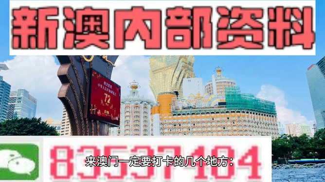 探索新澳好彩，204年免费资料查询的深度解析与前瞻澳门新彩