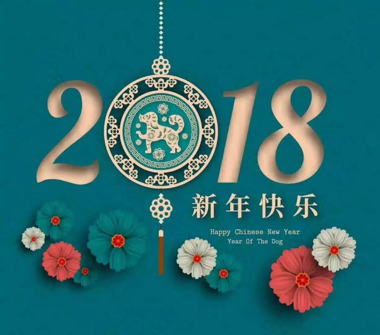 2048年澳门正版资料大全，揭秘生肖卡背后的奥秘2021年澳门正版资料全新解析
