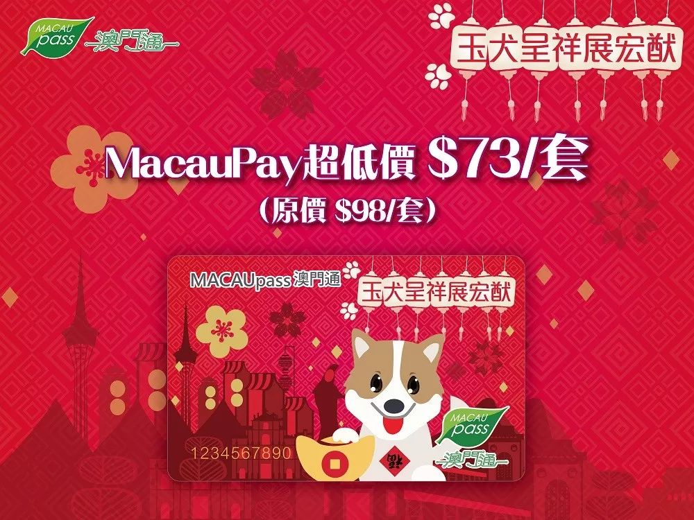 澳门王中王的六码与生肖，一场文化、历史和现代彩市的交织盛宴澳门王中王六码六肖催化剂厂家