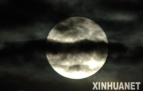 探索二四六蓝月亮精选料，解锁自然与科技的完美融合二四六蓝月亮精选料下载