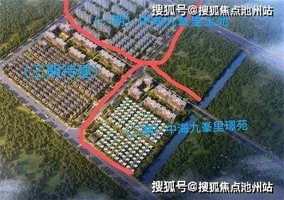 揭秘王中王的秘密，675数字背后的真相与启示493333王中王开奖结果675美人鱼