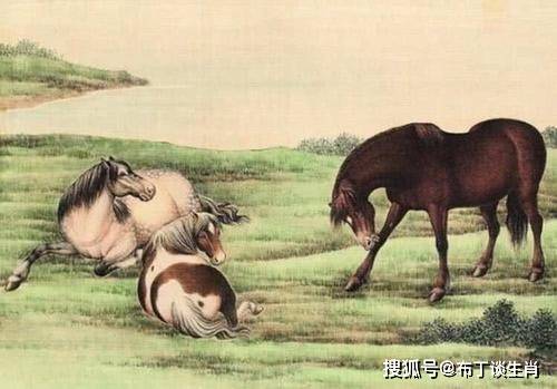 探索香港正版马会资料，一场关于智慧与机遇的盛宴2021年正版马会香港资料大全一