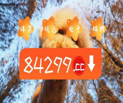 澳门天天彩金牛版,揭秘背后的故事与影响澳门天天彩金牛版特色