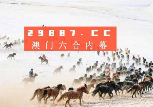澳门彩49，揭秘最新开奖记录的背后新澳门彩4949最新开奖记录新奥澳门不倒靠养老