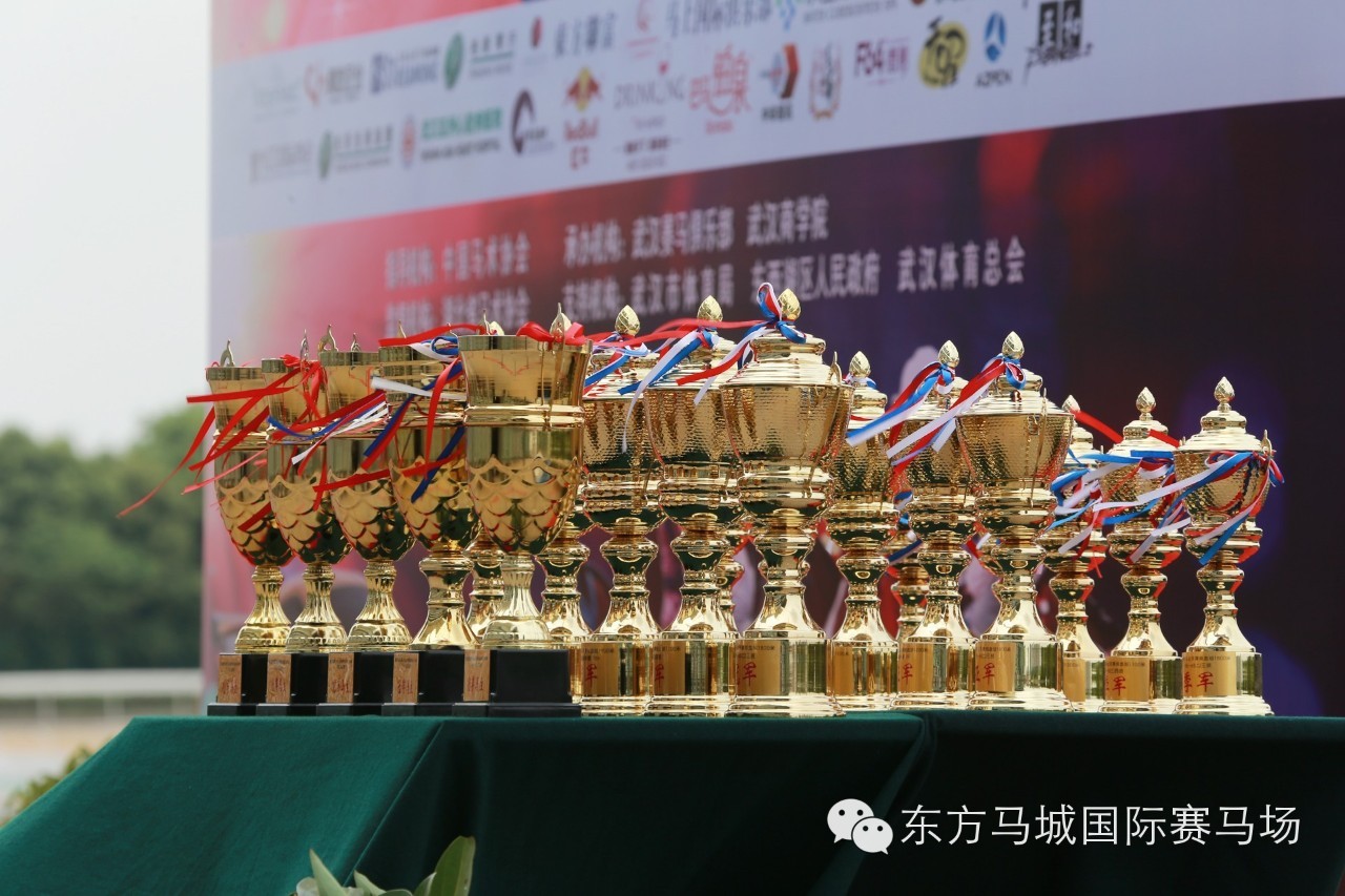 2019年马会全年资料回顾，精彩瞬间与辉煌成就2019年马会正版生活幽默图片