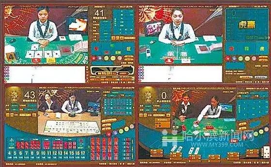 澳门王中王的六码与生肖，一场文化、历史和现代科技的交融澳门王中王六码六肖催化剂厂家