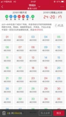 吉利平肖，揭秘中国彩票文化中的吉祥密码吉利平肖平码论坛永久域名
