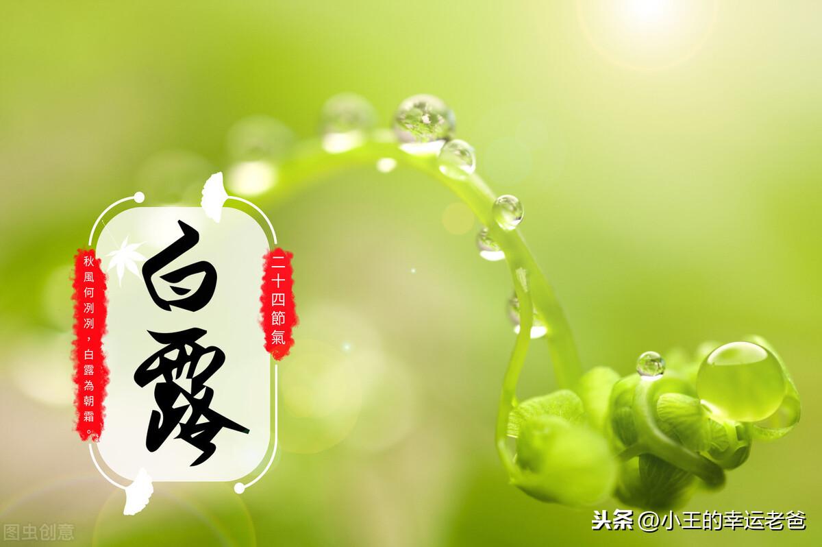 探索香港历史最快开奖结果，从传统到现代的转变香港历史最快开奖结果香港二十四